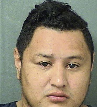 Almer Gomezsantay, - Palm Beach County, FL 